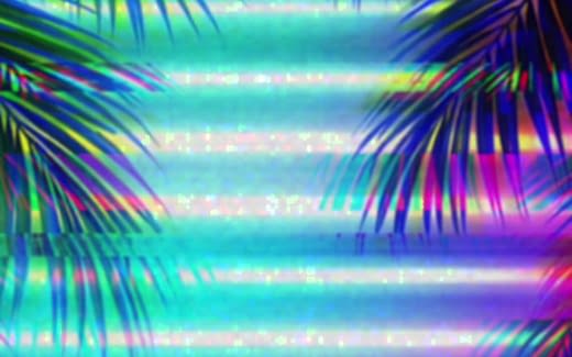 Silhouetten von Palmen und dahinter Leuchtstoffröhren in den Farben türkis und violett